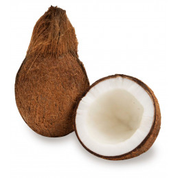 Vg Coconut 1piece