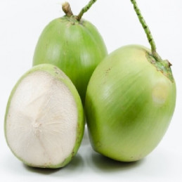 Fr Raw Coconut (Kobbari...