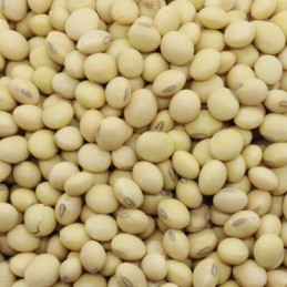 Black eyed beans (लोबिया)