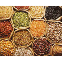 Pulses, Cereals, Millets: VizagGrocers.com : Buy Pulses Online at Our Store at best price in Visakhapatnam