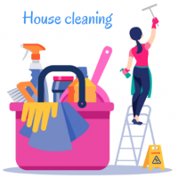 Buy Home Cleaning online in Visakhapatnam: Viazggrocers.com